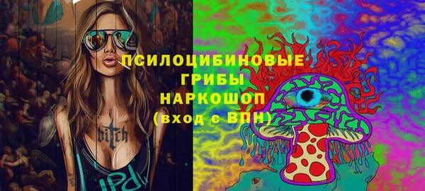 стафф Новодвинск