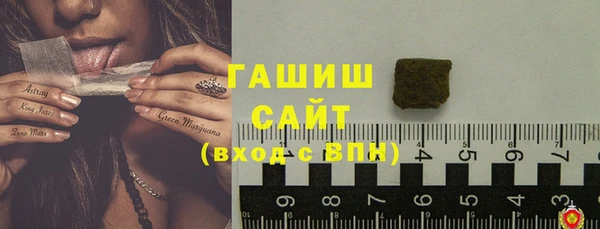 стафф Новодвинск