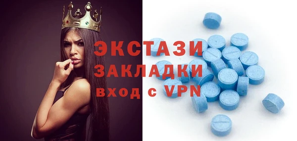 стафф Новодвинск