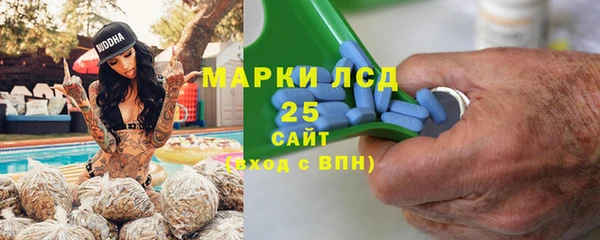стафф Новодвинск
