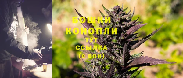 стафф Новодвинск