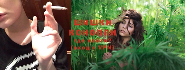 стафф Новодвинск