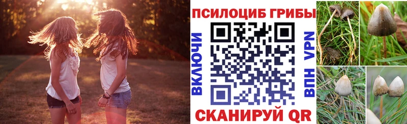 закладка Мыски Галлюциногенные грибы ЛСД