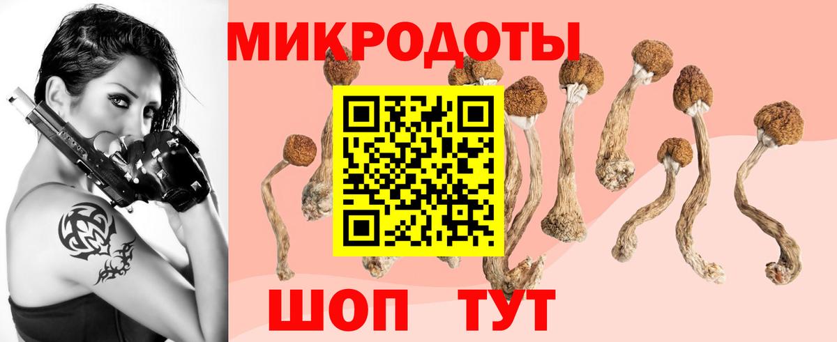 Галлюциногенные грибы ЛСД Мыски